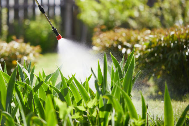 24/7 Emergency Mosquito Control experts in Ferdinand, IN